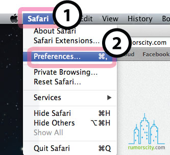 How-to-clear-browser-data-on-Safari-04