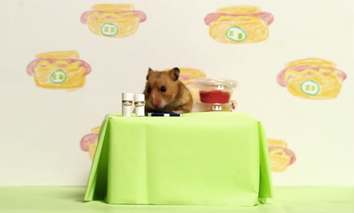 Hot Dog King Versus Tiny Hamster in a Hot Dog Eating Contest Who Will Win