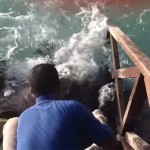 Stingray Jumps Out Of Water And Went To The Ramp For Food