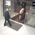 A Horse Walks Into The Police Station. He Must Have Witnessed Something.