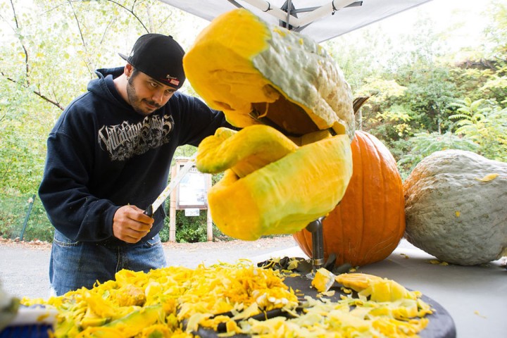 This Pumpkin Carver Carves A Tyrannosaurus Rex-01