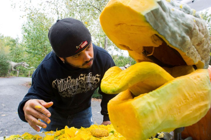 This Pumpkin Carver Carves A Tyrannosaurus Rex-02