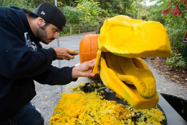 This Pumpkin Carver Carves A Tyrannosaurus Rex-03