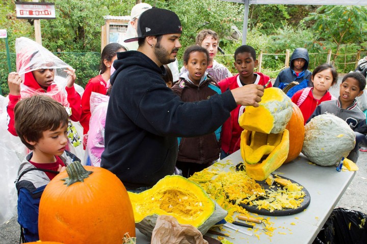 This Pumpkin Carver Carves A Tyrannosaurus Rex-04