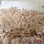 What This Man Found In The Spare Bedroom Is Unbelievable