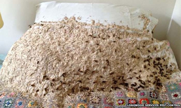 What This Man Found In The Spare Bedroom Is Unbelievable