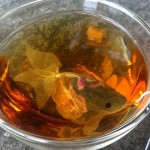 Is That A Goldfish In Your Teacup? These Tea Bags Are Awesome.