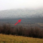 Dangerous Fog Came Rolling Through The Hungarian Mountains, Rapidly Dropping The Temperature, And Froze Everything In Its Path