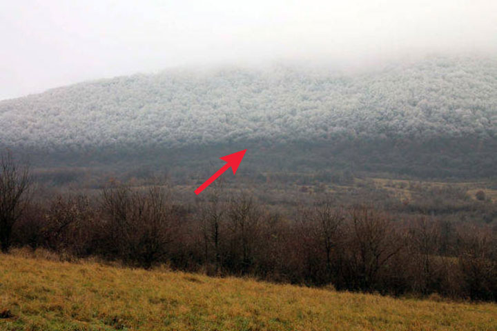 Dangerous Fog Came Rolling Through The Hungarian Mountains, Rapidly Dropping The Temperature, And Froze Everything In Its Path