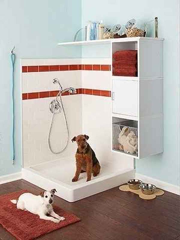 15 Brilliant Bathroom Ideas For Your Pet Dog