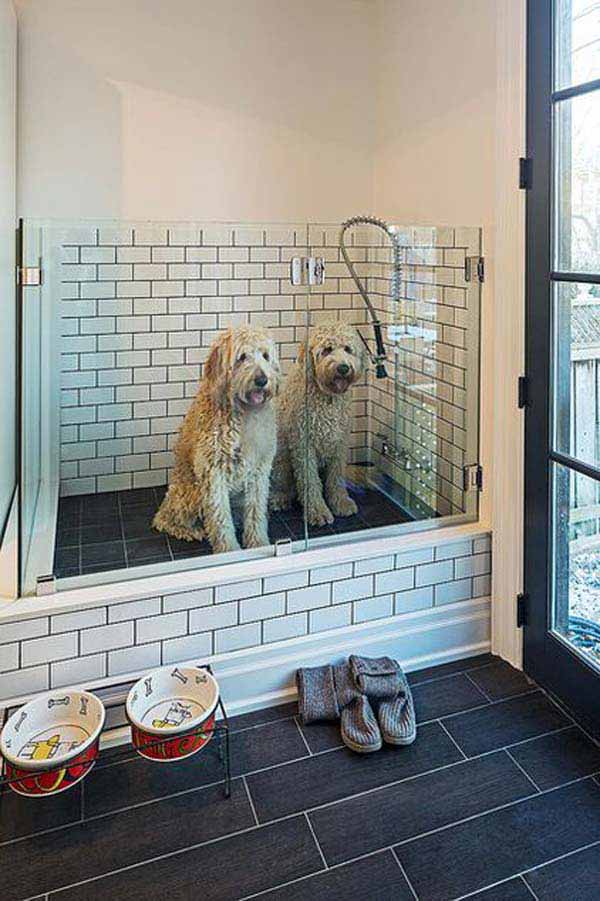 Brilliant Bathroom Ideas For Your Pet Dog-14