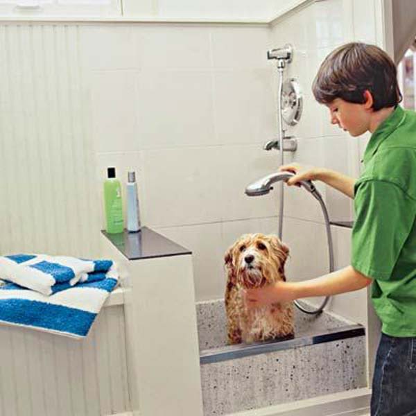Brilliant Bathroom Ideas For Your Pet Dog-15