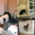 15 Brilliant Bathroom Ideas For Your Pet Dog