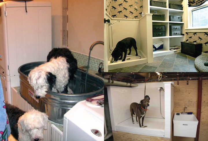 Brilliant Bathroom Ideas For Your Pet Dog