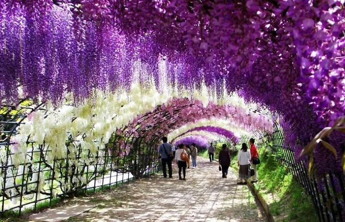 Mesmerizing Streets Shaded By Flowers And Trees-02