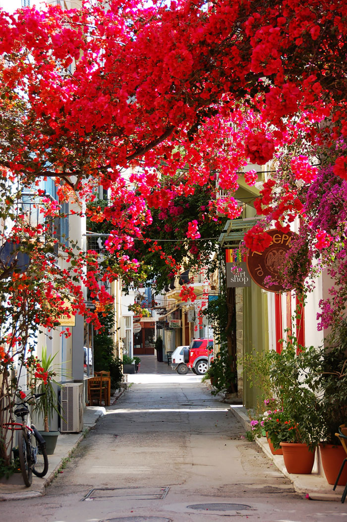 Mesmerizing Streets Shaded By Flowers And Trees-14